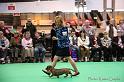 Crufts2011_2 1649